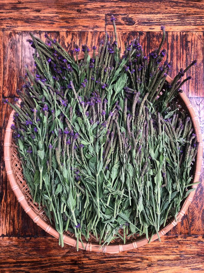 WILD BLUE VERVAIN BUNDLE - SOLD OUT - Image 4